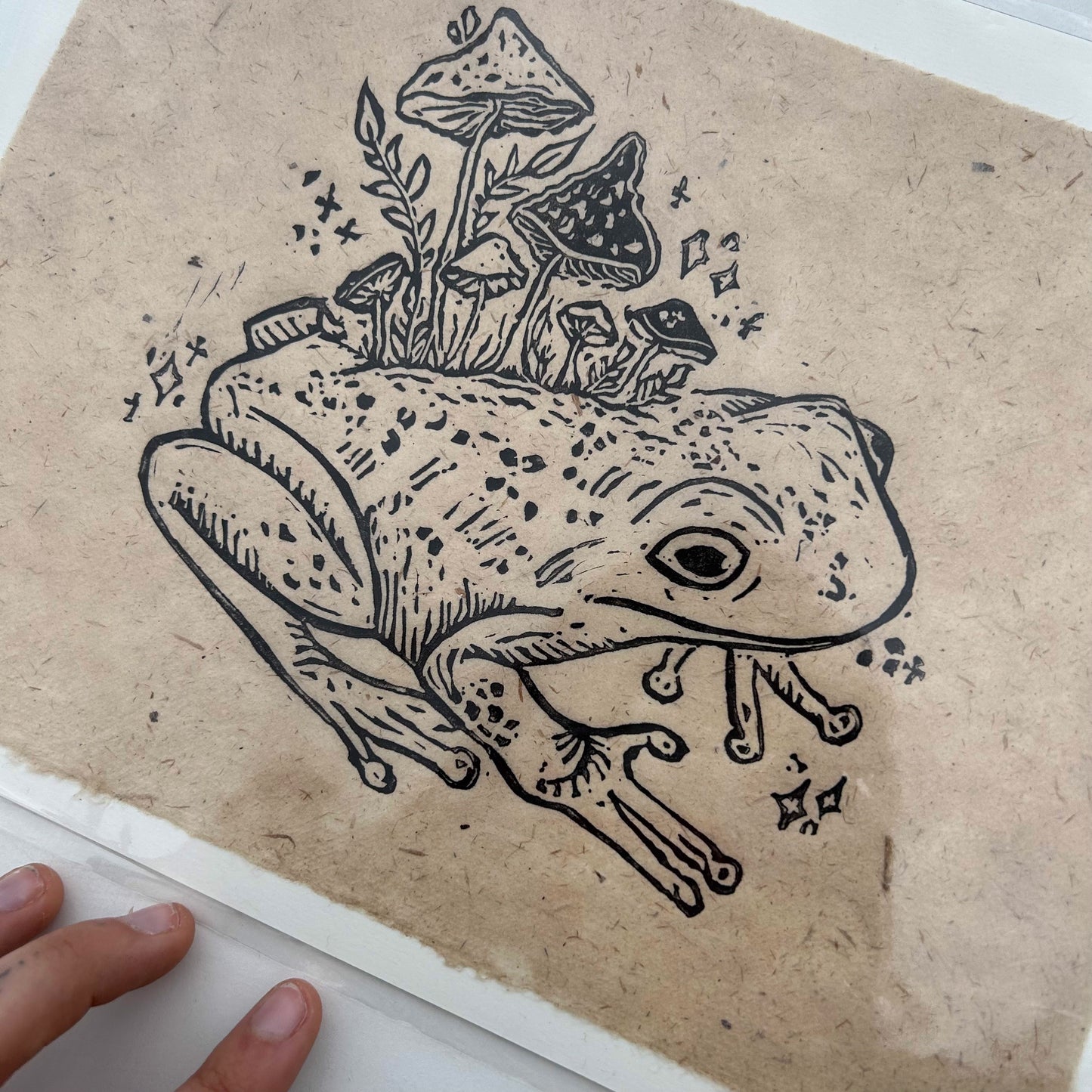 master frog print