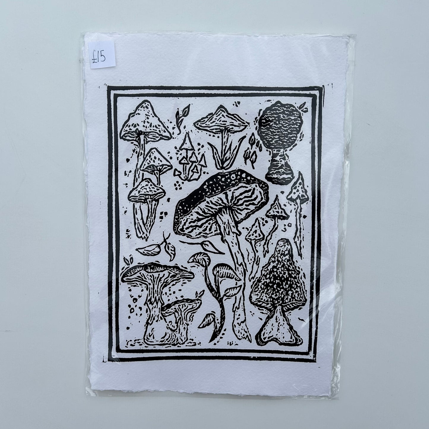 mushroom collection print